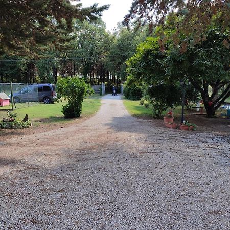 B&B Il Pizzagiallo Massa Martana Zewnętrze zdjęcie