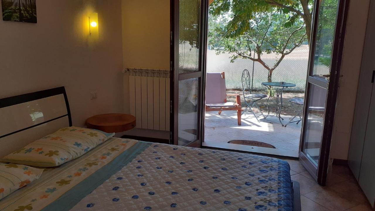 B&B Il Pizzagiallo Massa Martana Zewnętrze zdjęcie