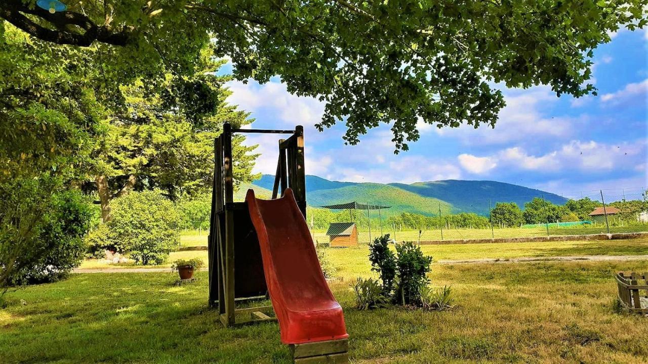 B&B Il Pizzagiallo Massa Martana Zewnętrze zdjęcie