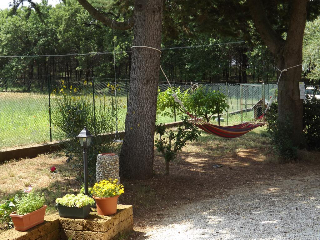 B&B Il Pizzagiallo Massa Martana Zewnętrze zdjęcie