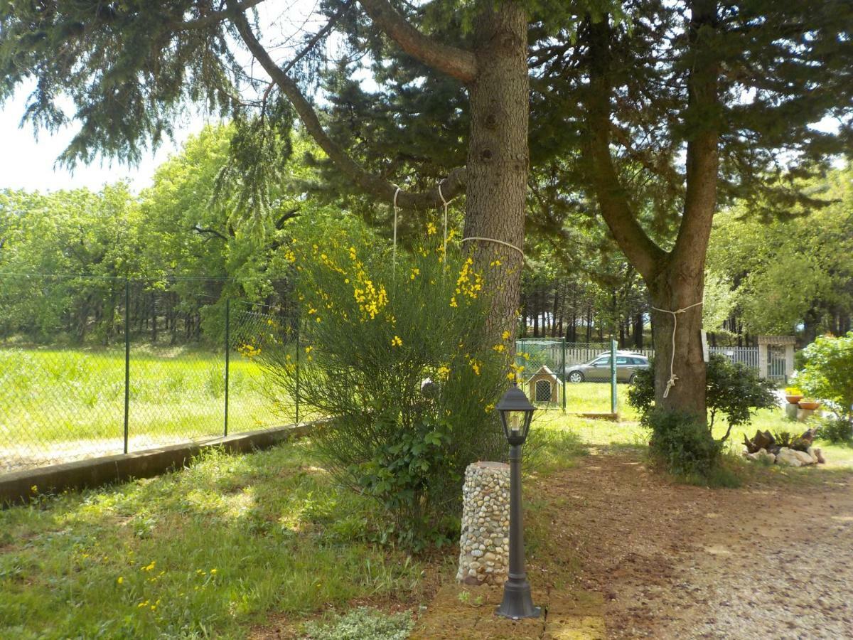 B&B Il Pizzagiallo Massa Martana Zewnętrze zdjęcie